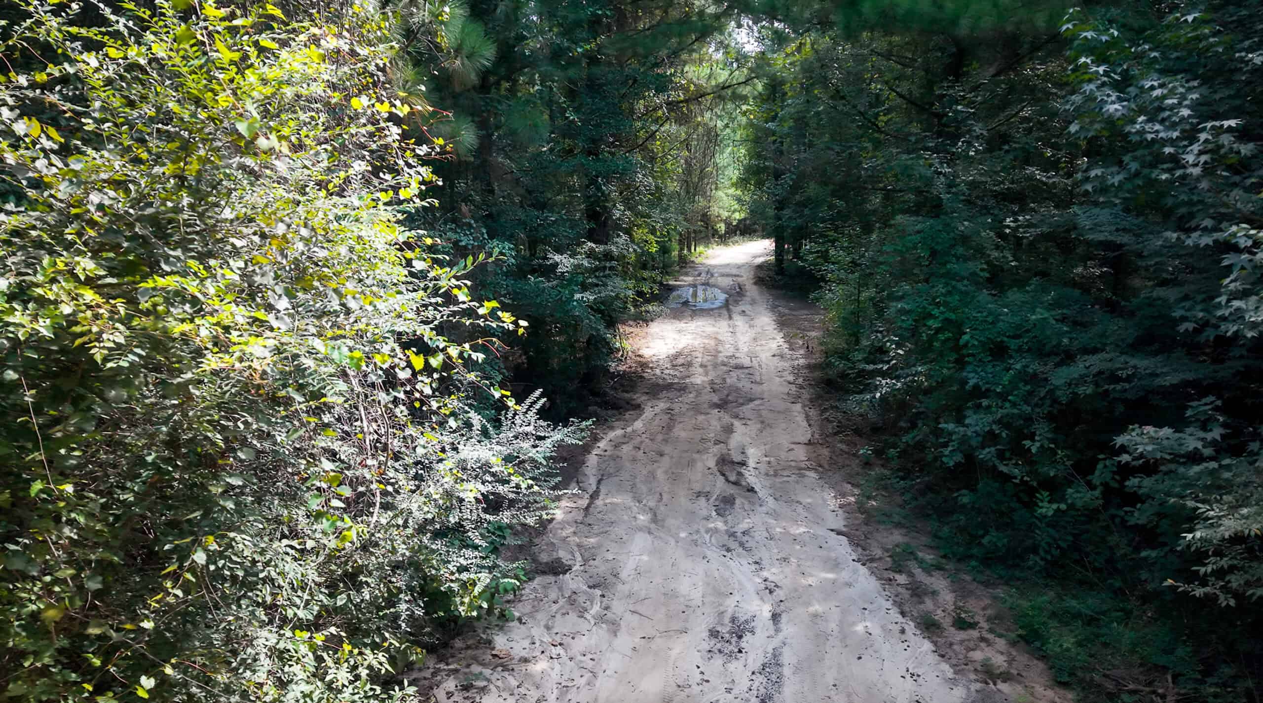 224.56 Acres | Buck Creek 224 | Montezuma, GA